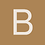 Brainpalace