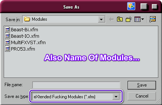 FFR-ModuleName