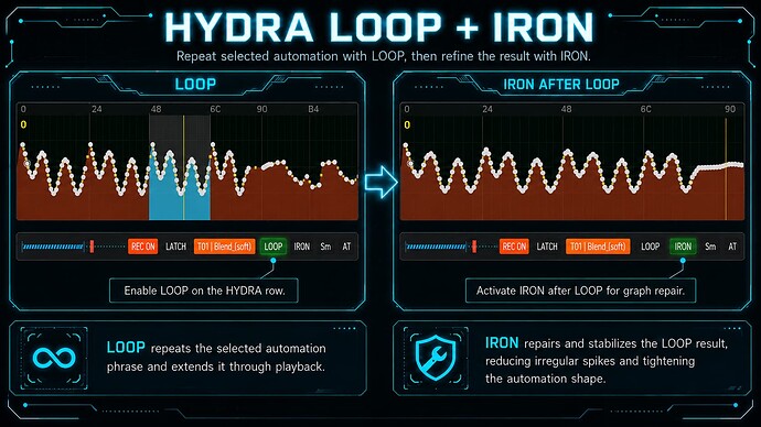 Hydra Sanity LOOP and IRON