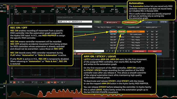 Hydra Sanity Automation ARM ON Tutorial Interface
