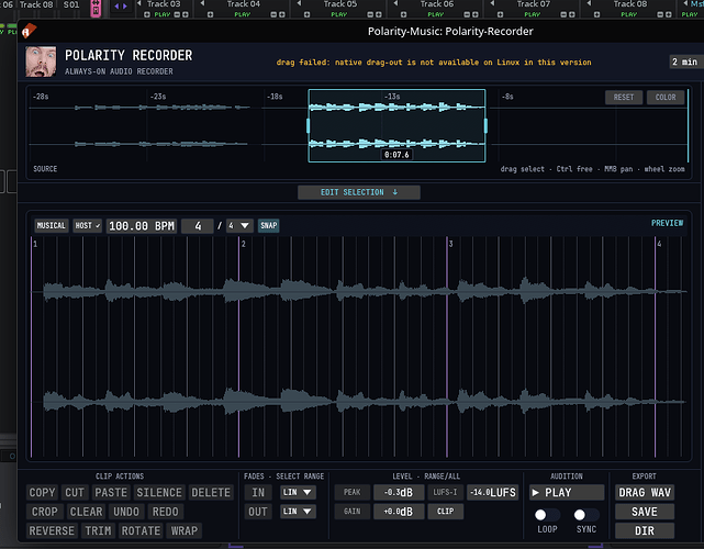 Polarity Recorder