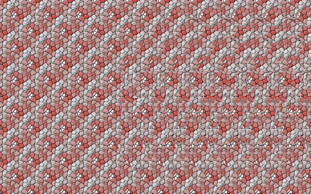stereogram.png