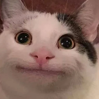 Polite_Cat-0 copy