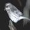 Jules_Lavern